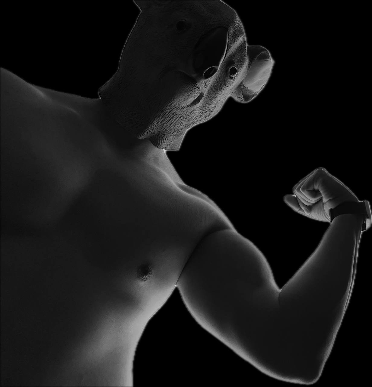 JPEG image-43A5-8FB2-F5-9